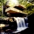 Falling Water