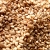 Sesame seeds