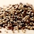Quinoa