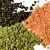 Lentils