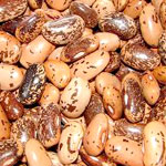 Pinto beans