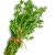 Thyme