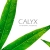 Calyx