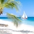 Palm Island
