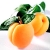 Apricots
