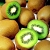 Kiwifruit