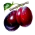 Plums