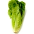 Romaine lettuce