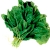 Spinach