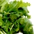 Turnip greens