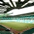 Celtic park (celtic)