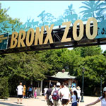 Bronx Zoo