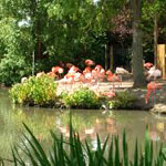 Chester Zoo