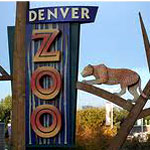 Denver Zoo