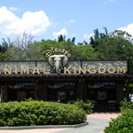 Disneys Animal Kingdom