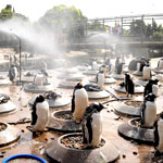 Edinburgh Zoo
