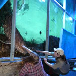 National Zoo and Aquarium