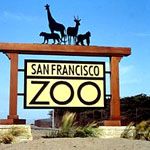 San Francisco Zoo