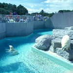 Toronto Zoo