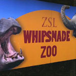 ZSL Whipsnade Zoo